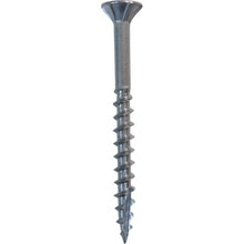 Load image into Gallery viewer, Stainless Coarse Thread Screws Slender Type  10185540  DAIDOHANT
