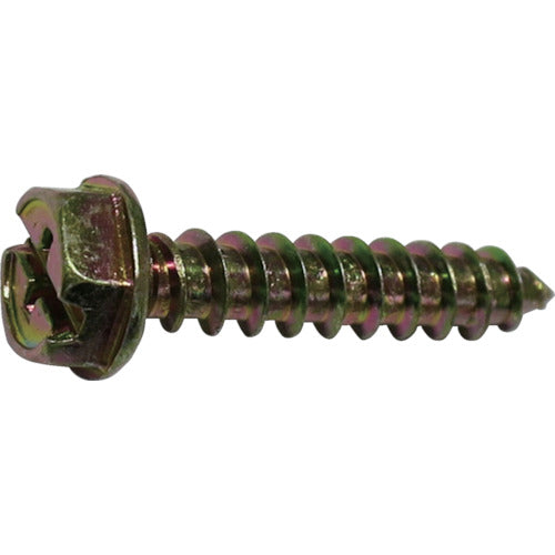 Chromate Hex Head Tapping Screw With flange  10185610  DAIDOHANT