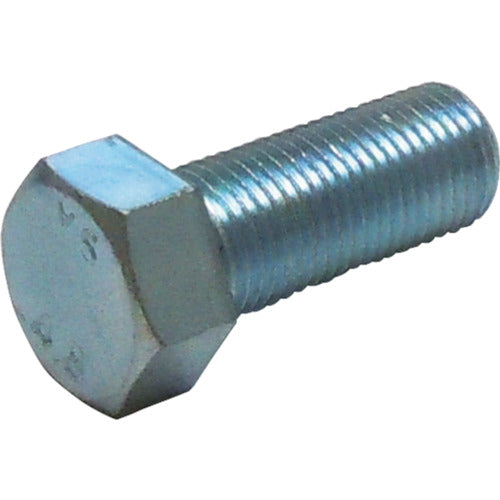 Fine Pitch Bolt  10185783  DAIDOHANT