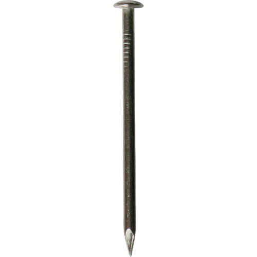 Stainless Steel Nail  10186664  DAIDOHANT