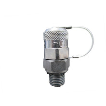 Load image into Gallery viewer, Pressure Test Nipple  10-359-1253  CEJN
