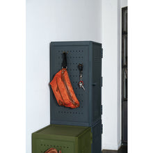 Load image into Gallery viewer, Peg Cabinet VAZZO  110013842  TENMA
