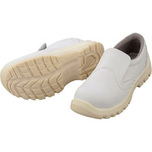 Load image into Gallery viewer, Shoes for CR  1-2291-48  AS
