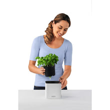 Load image into Gallery viewer, Planter CUBE Color  13380  LECHUZA
