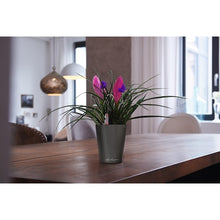 Load image into Gallery viewer, Planter DELTINI  14949  LECHUZA
