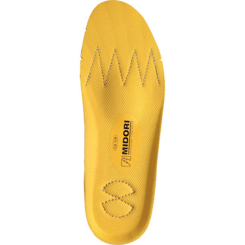 Insoles  22999155-26  MIDORI ANZEN