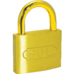 Cylinder Padlock  2500BP-25  SOL