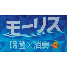Load image into Gallery viewer, SANITIZER&amp;DEODORIZER  325319  MORITOMO
