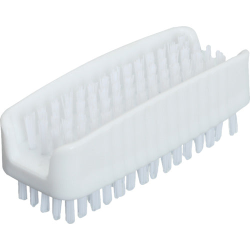 31/2HAND/NAILBRUSH  3623900  Carlyle