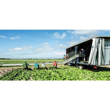 Load image into Gallery viewer, Dolfing Sustainable Water Proof Clothing  420010201  Dolfing Druten

