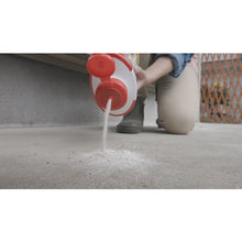 Load image into Gallery viewer, Ant extermination powder agent economical  433814  FUMAKILLA
