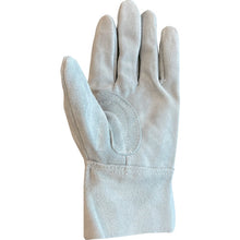 Load image into Gallery viewer, Backstitch Leather Gloves  460104  SWS
