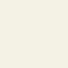 Load image into Gallery viewer, Protecton Interior Wall  4976124877810  NIPPE
