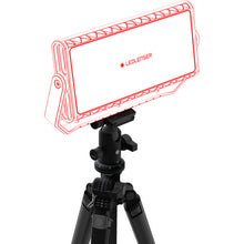 Load image into Gallery viewer, LED Work Light  AF12R Work  502913  LEDLENSER
