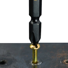 Load image into Gallery viewer, Double-ended Bit (Black Gold, Set of 2) +3x110mm  5302-110-BG  FUJIYA
