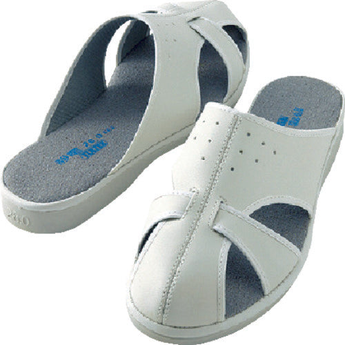 Anti-Static Slippers  AZ59705-004-M  AITOZ