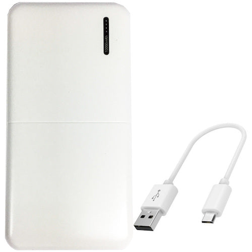 USB mobile battery 10,000mAh (USB-C/microUSB)  6151  okacho