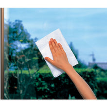 Load image into Gallery viewer, Window glass cleaner  617023000  azuma
