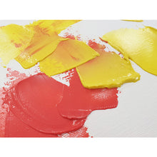 Load image into Gallery viewer, FLUID PIGMENT  650671  Pebeo

