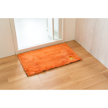 Load image into Gallery viewer, Ag+ Bath Mat   66372  OKA
