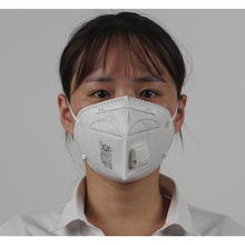 Load image into Gallery viewer, DS2 Dust-proof mask  717699  SWS
