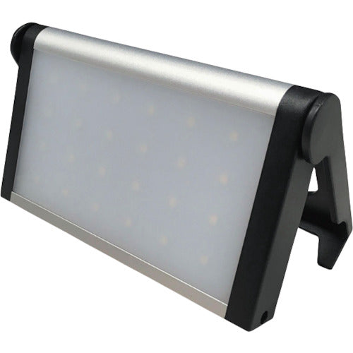 Compact FloodLight  87247  BERUF