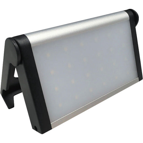 Compact FloodLight  87248  BERUF