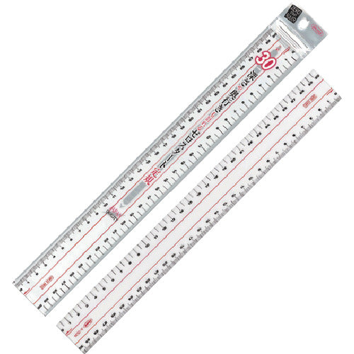 Methacrylic Double-sided Straight Ruler  A-2530  kyoei plastic