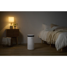 Load image into Gallery viewer, Humidifying Air Purifier  AAP-SH20A-W (297747)  IRIS
