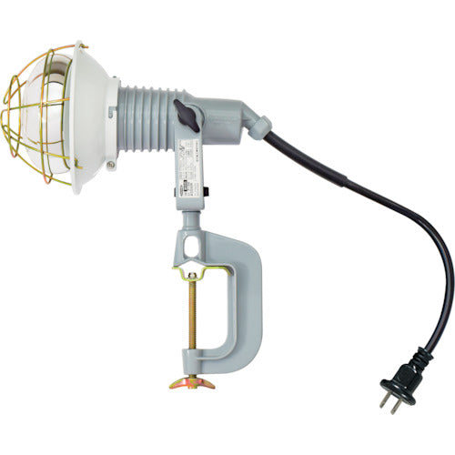 Ref-Bulb Flood Light(Waterproof)  09950 AF-200 100V  NICHIDO