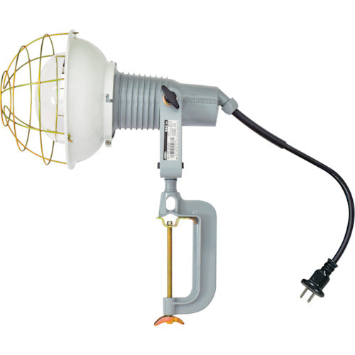 Ref-Bulb Flood Light(Waterproof)  09960 AF-300 100V  NICHIDO