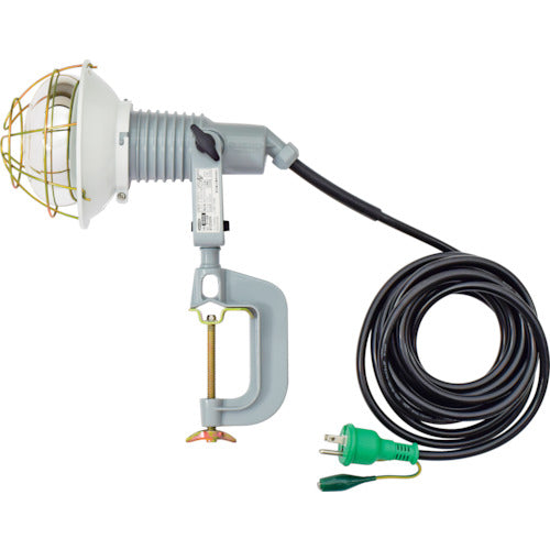 Ref-Bulb Flood Light(Waterproof)  09954 AF-E205 100V  NICHIDO