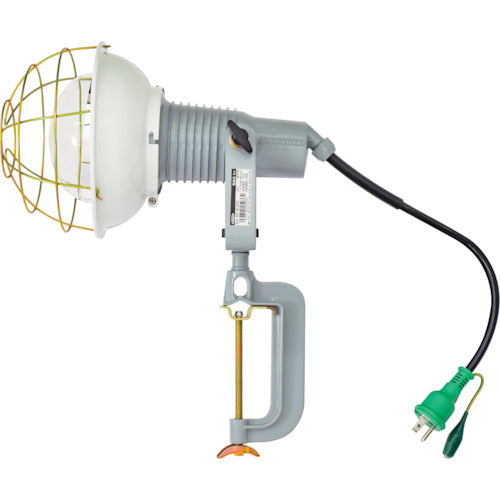 Ref-Bulb Flood Light(Waterproof)  09963 AF-E300 100V  NICHIDO