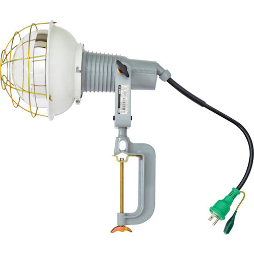 Ref-Bulb Flood Light(Waterproof)  09973 AF-E500 100V  NICHIDO