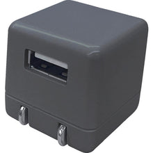 Load image into Gallery viewer, Mini AC Charger 1A  AKJ-ECUBE1 GY  air-j
