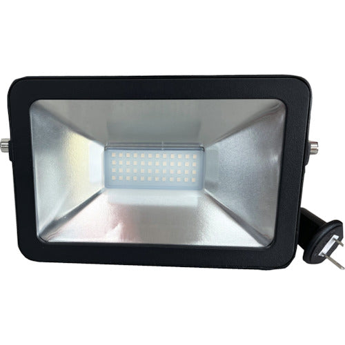 LED Floodlight  AS-020MK2  Fujikura