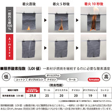 Load image into Gallery viewer, Flameproof Pants  AX8000 100 GR  NikkoBussan
