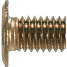 Load image into Gallery viewer, Hex Lobe Ultra Low Head Screw (Stainless Steel)  B187-0616  TRUSCO
