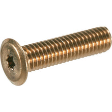 Load image into Gallery viewer, Hex Lobe Ultra Low Head Screw (Stainless Steel)  B187-2606  TRUSCO

