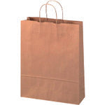 Carrier bag  354118  JTX