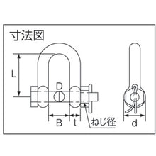 Load image into Gallery viewer, Safety D-Shackle Bolt type  B-737  MIZUMOTO
