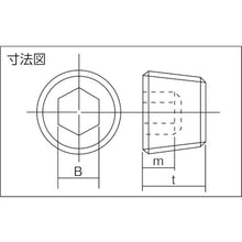 Load image into Gallery viewer, Taper Plug(Sunk Head Plug)  B84-0112  TRUSCO

