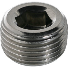 Load image into Gallery viewer, Taper Plug(Sunk Head Plug)  B84-0318  TRUSCO
