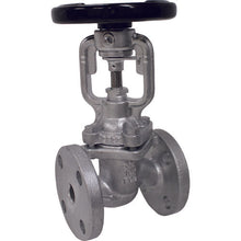 Load image into Gallery viewer, Bellows Sealed Globe Valve  BSV-10F-20A  YOSHITAKE
