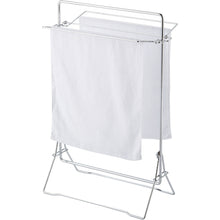 Load image into Gallery viewer, Slim type Laundry Hanger  CE-495-010-0  TERAMOTO
