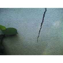 Load image into Gallery viewer, Outdoor Repair Material for Concrete Crack  CF-02  KENCHIKU NO TOMO
