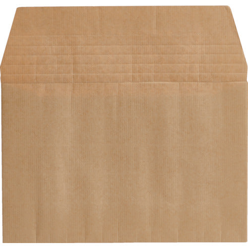 Cardboard Envelope  CF2519-5P  TRUSCO