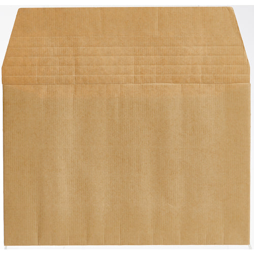 Cardboard Envelope  CF3431  TRUSCO