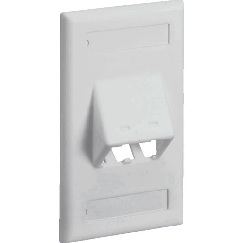 Mini-Com Classic Series Sloped Faceplates with Label and Label Cover-Off White  CFPSL2IWY  PANDUIT