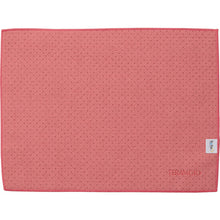 Load image into Gallery viewer, FX Antibacterial Cloth  CL-374-930-2  TERAMOTO
